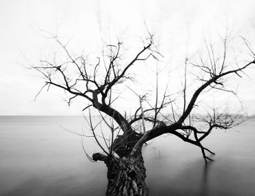 मृत्यु सुख है