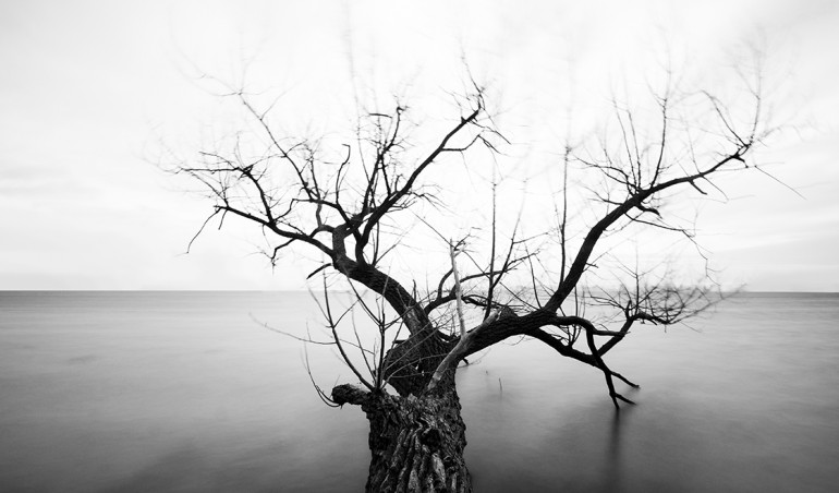 मृत्यु सुख है