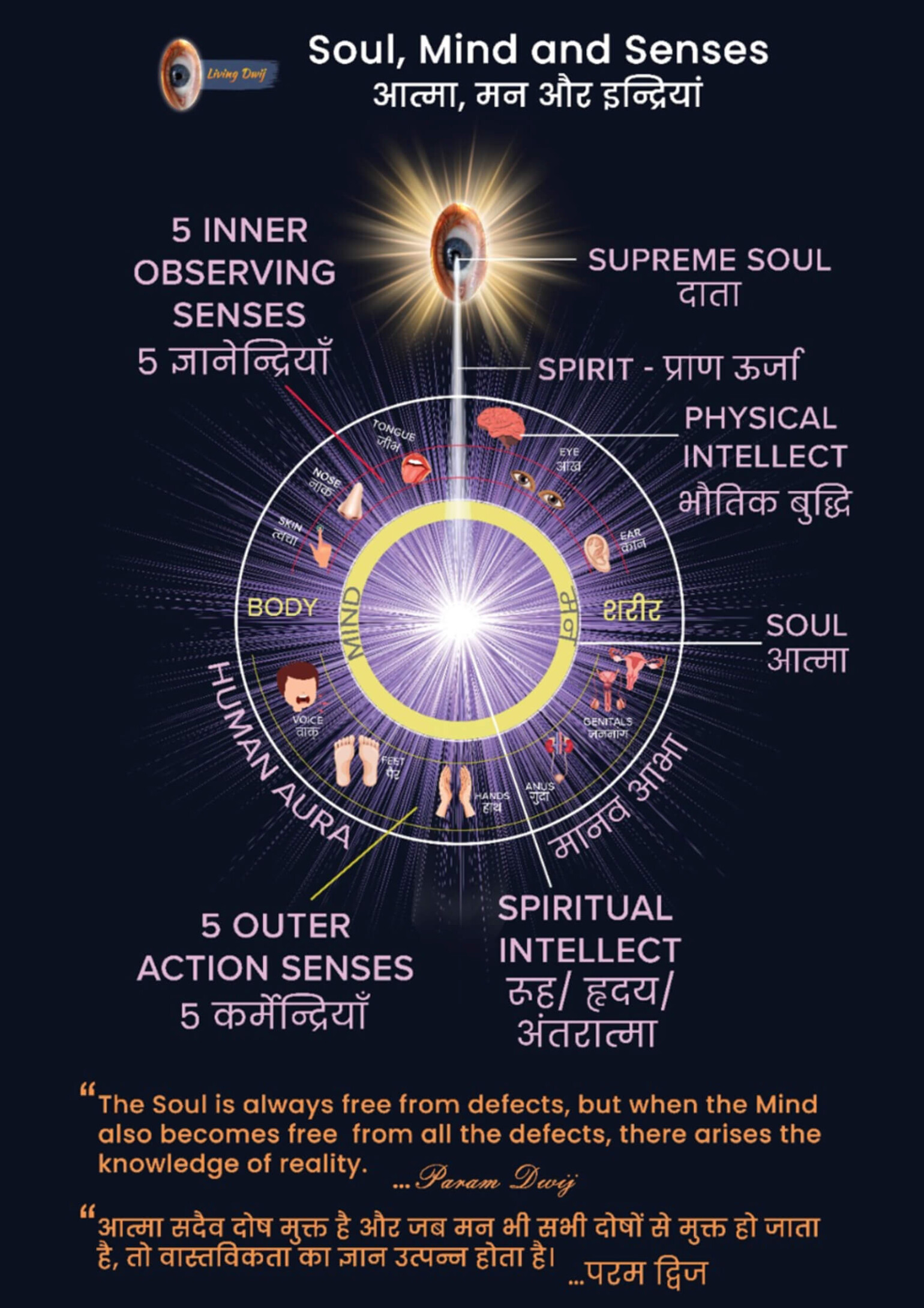 Soul Base Intellect The Supreme Alignment: Soul, Mind, and Senses - Living Dwij